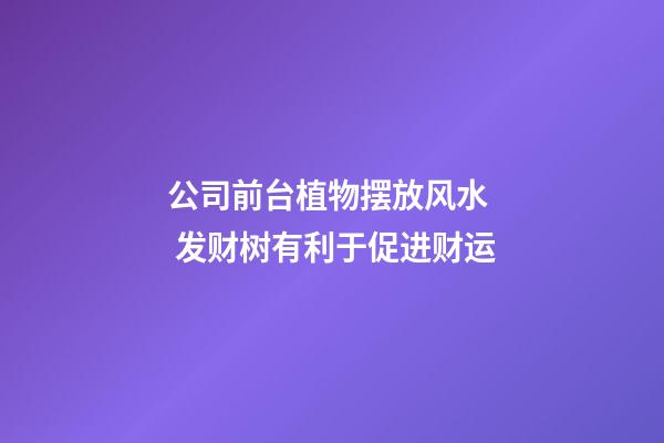 公司前台植物摆放风水  发财树有利于促进财运